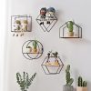 Great Storage Shelf Non-fading Antioxidant Storage Organizer